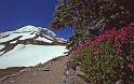 1999-08 Jon and Bobbi Mt Rainier NP 05